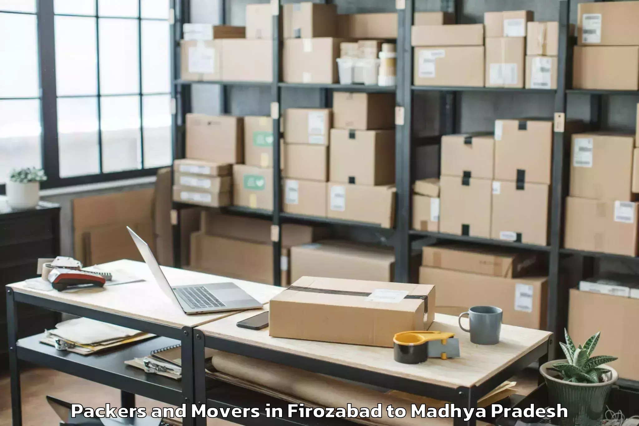 Professional Firozabad to Raghogarh Vijaypur Packers And Movers